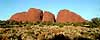 Olgas
