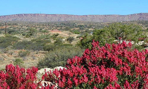 Rote Landschaft