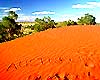 "Australia"