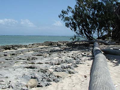 Green Island