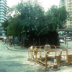 Jademarkt