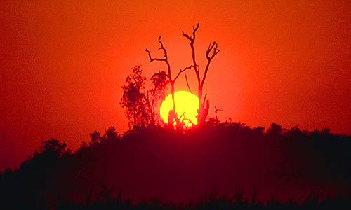 Sonnenaufgang - Yellow Water