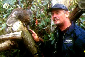 Koala