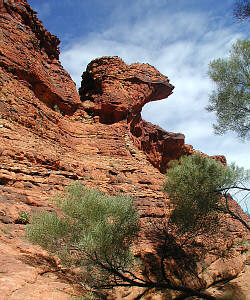 Kings Canyon