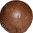 Macadamia