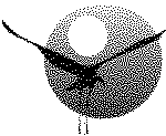 NT Logo