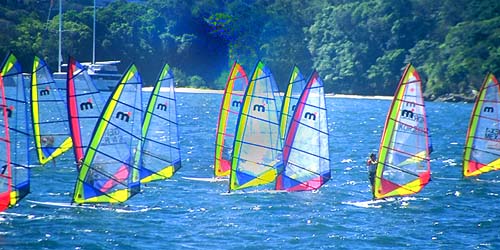 Windsurfergruppe