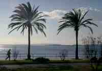 Promenade in Palma de Mallorca