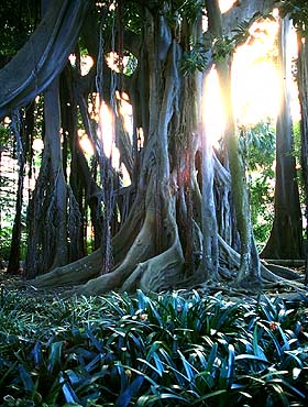 Bild=1150-BotanischerGarten