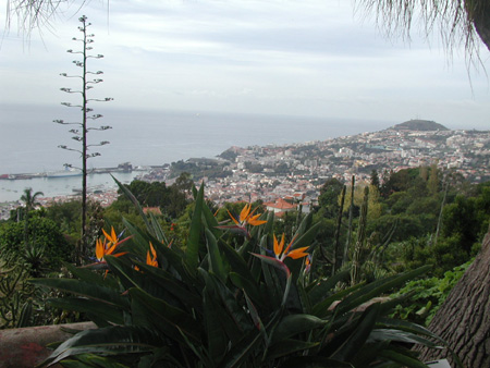 Aussicht über den Botanischen Garten auf Funchal