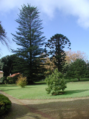 Blandy's Garten